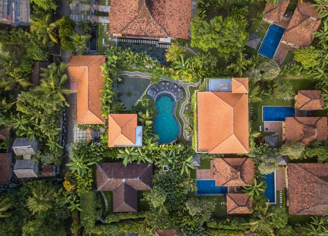Hotel Hidden Padma Retreat à Ubud Extérieur photo