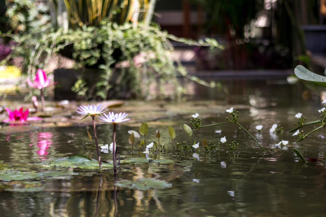 Hotel Hidden Padma Retreat à Ubud Extérieur photo